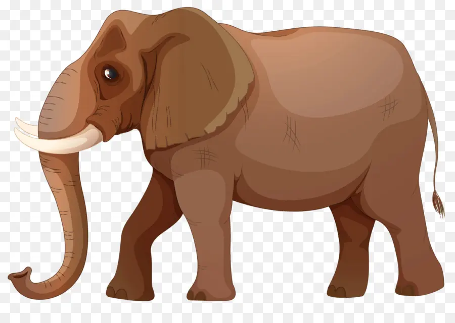 El Elefante Africano，Elefante Indio PNG