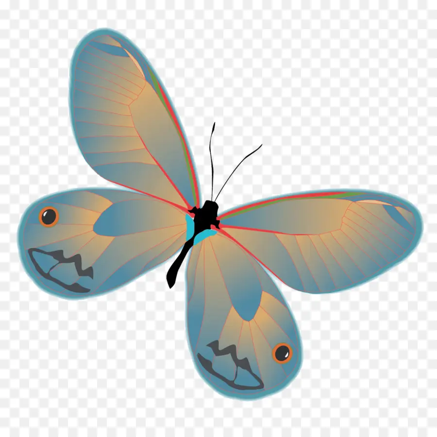 Mariposa，Alas Coloridas PNG