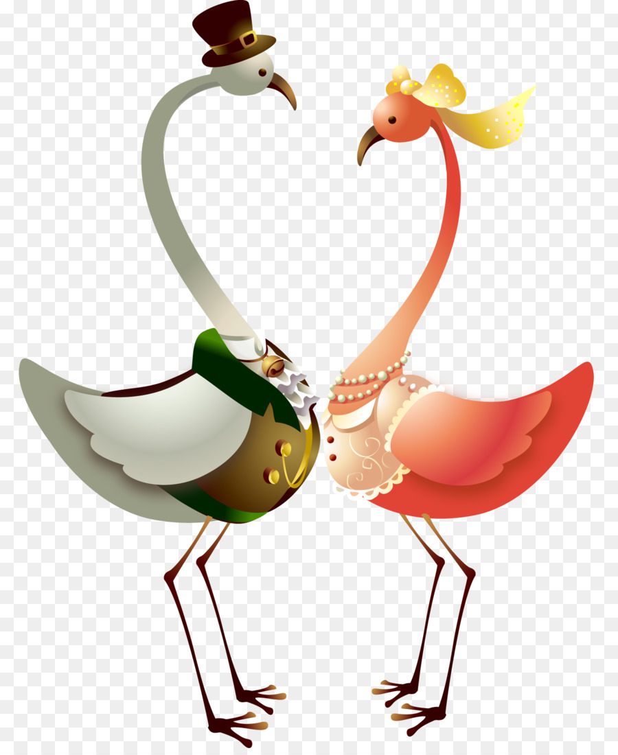 Pájaros De Dibujos Animados，Pareja PNG