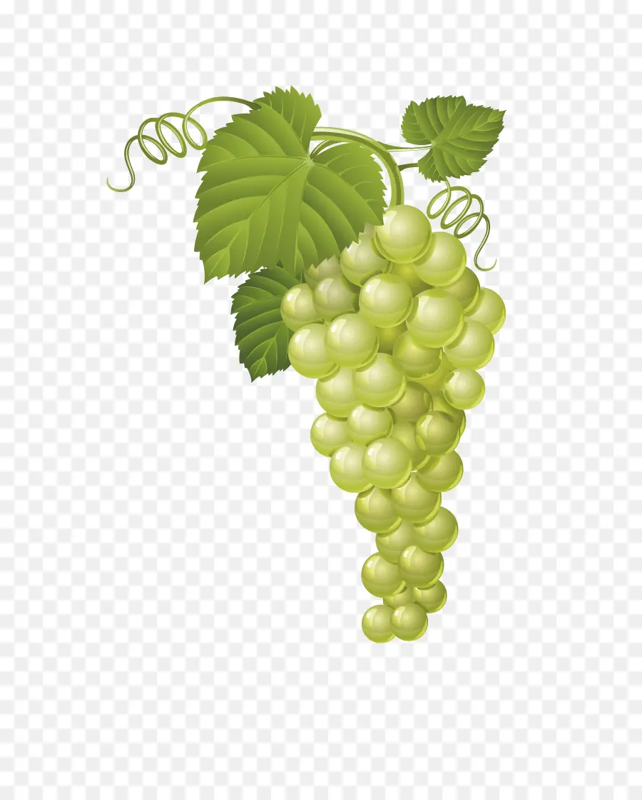 Uvas，Verde PNG