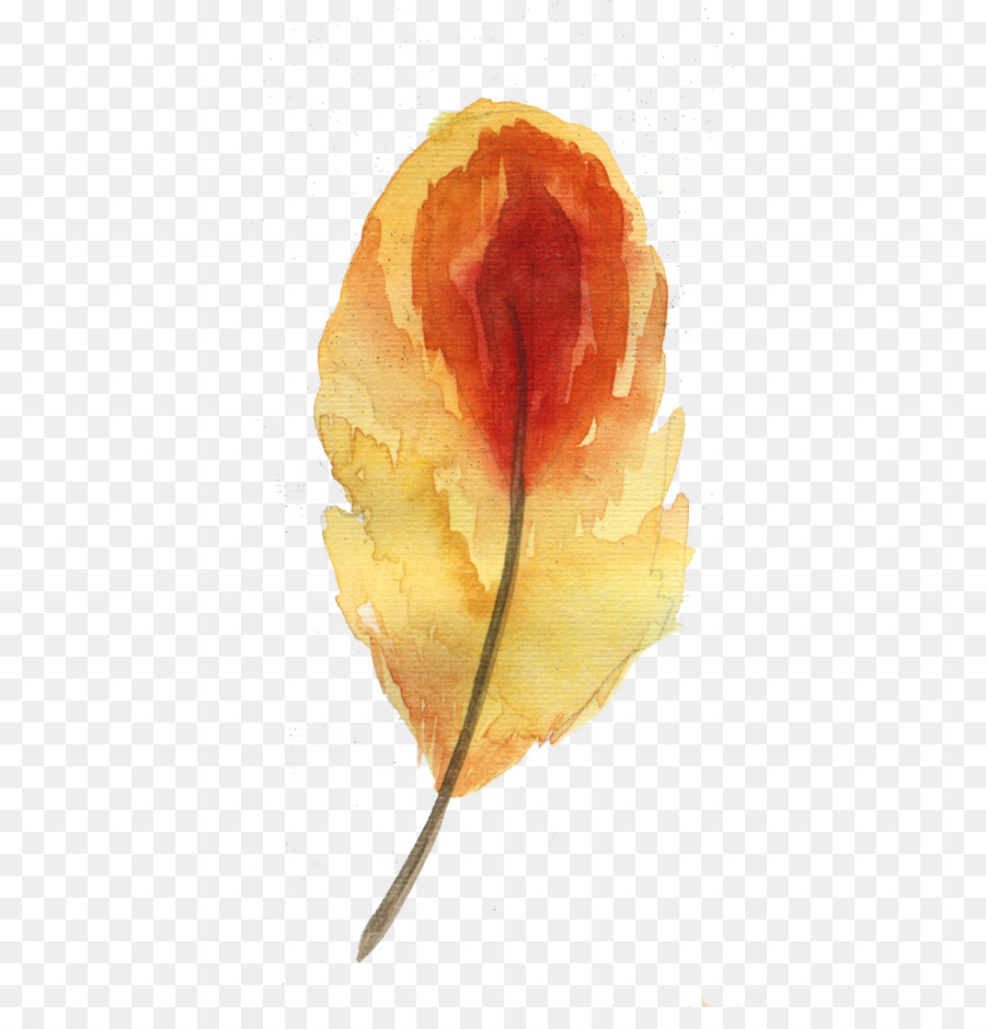 Hoja，Otoño PNG