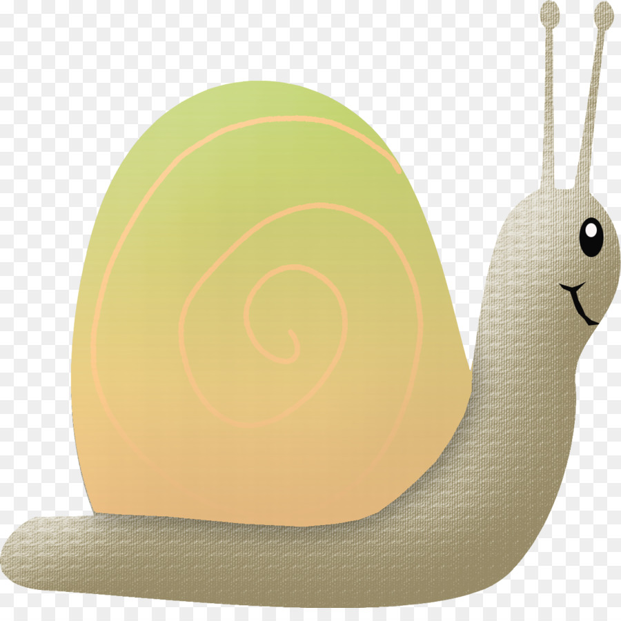 Caracol，Caparazón PNG