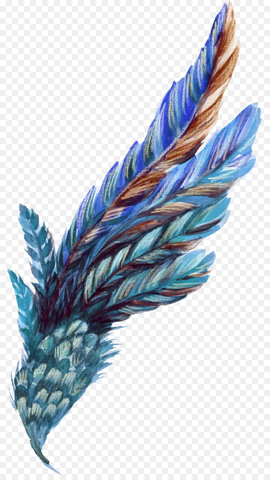 Pluma，Azul PNG