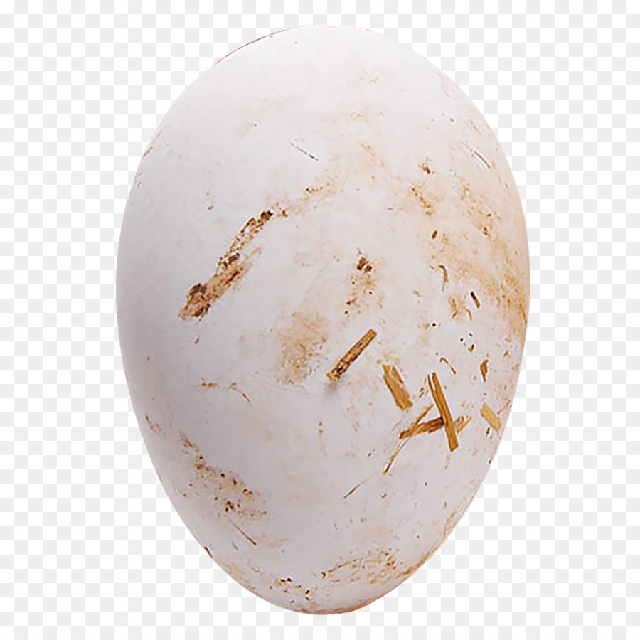 Gallina Nacionales，Ganso PNG