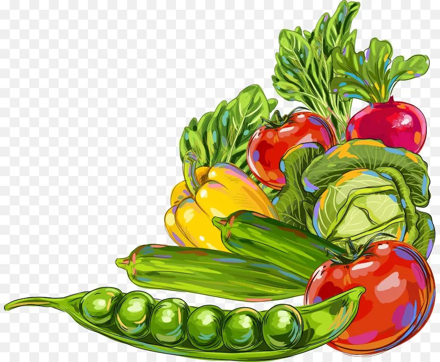 Vegetal，Okra PNG