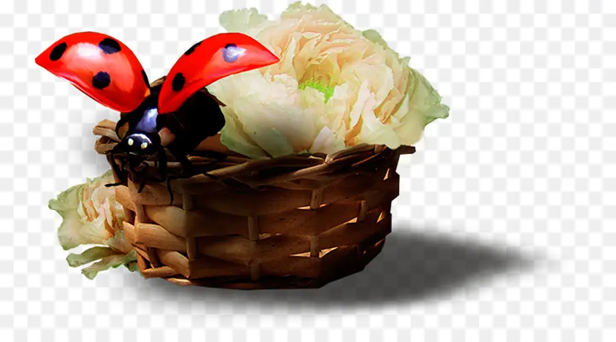 Los Insectos，Mariquita PNG