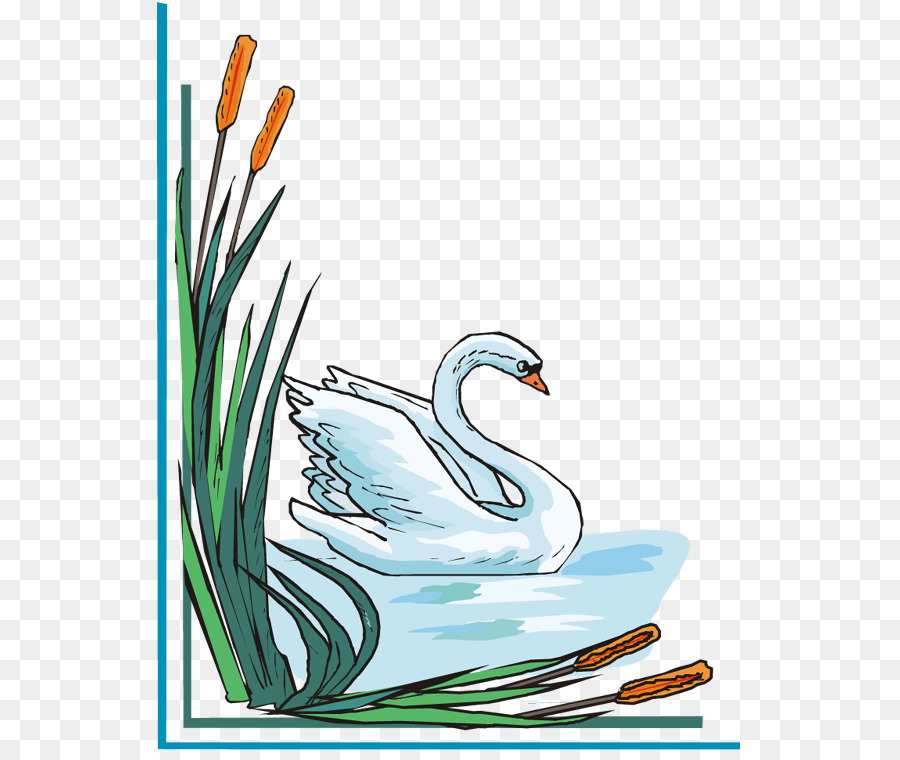 Cisne，Agua PNG