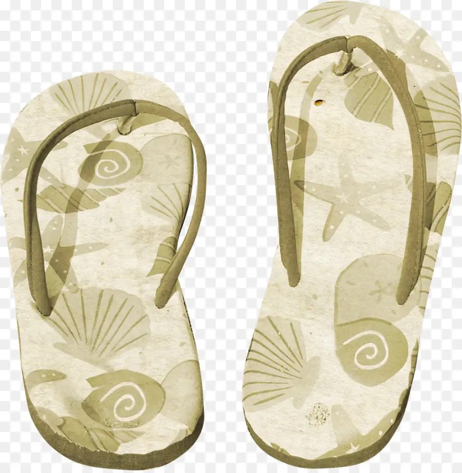 Flipflops，Zapatilla PNG