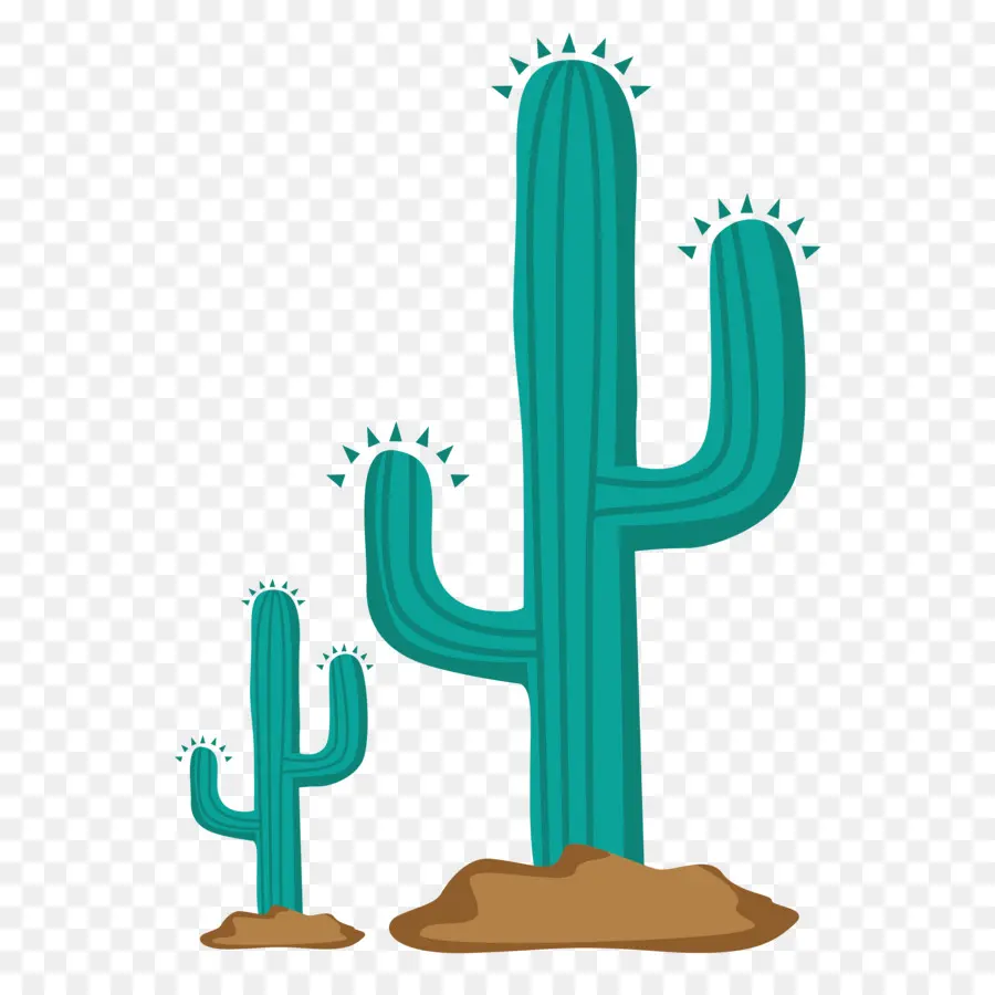 Cactus，Desierto PNG