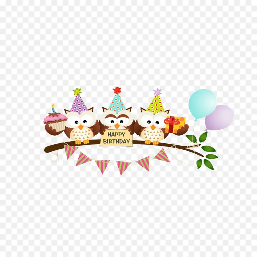 Búhos De Cumpleaños，Fiesta PNG