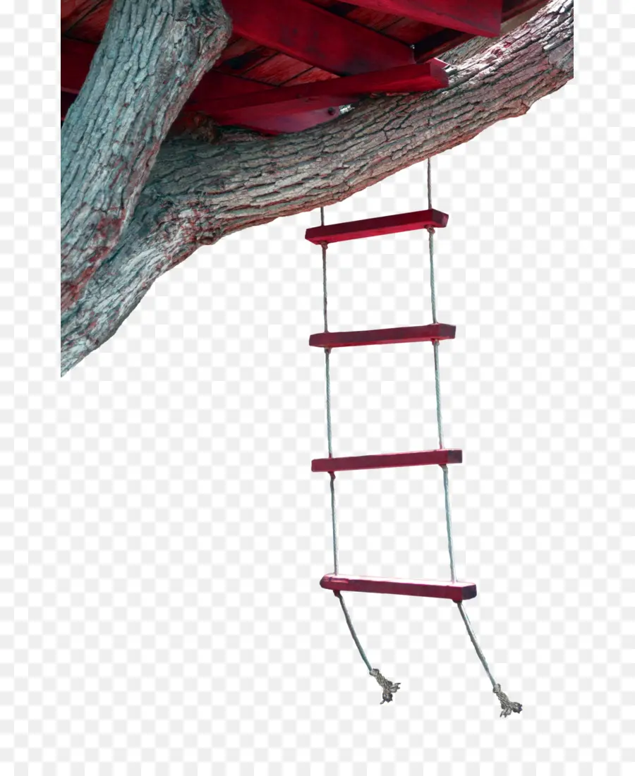 Escalera De La Casa Del árbol，Árbol PNG