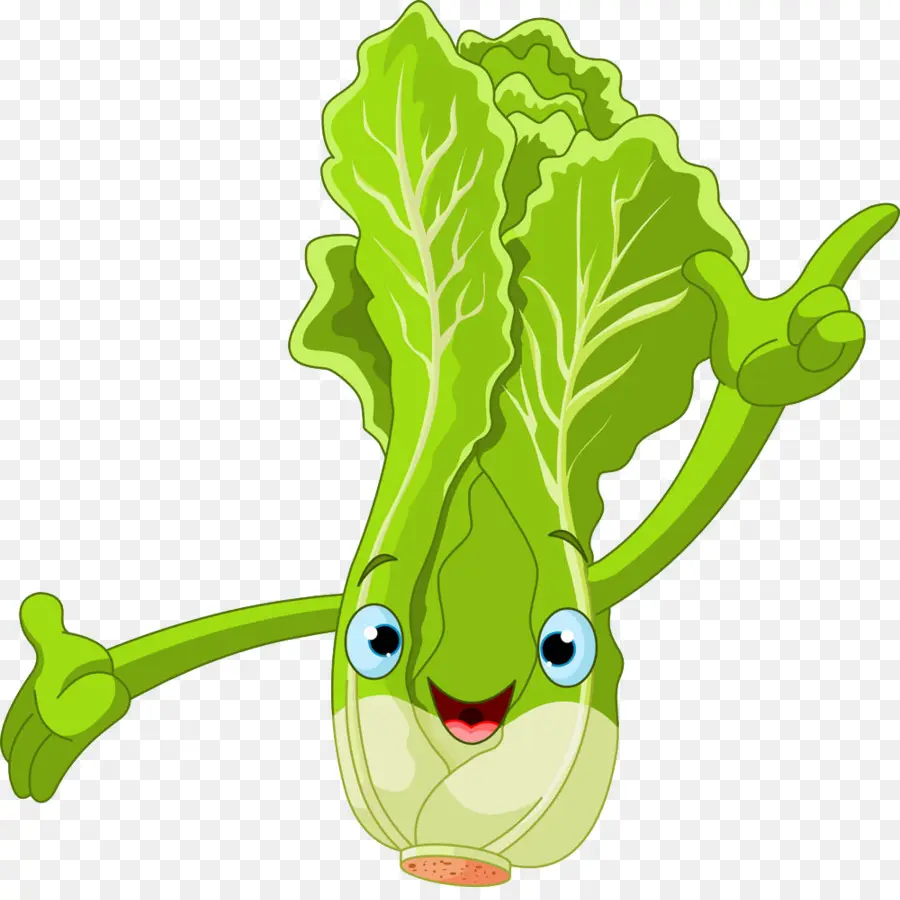 Lechuga，De Dibujos Animados PNG