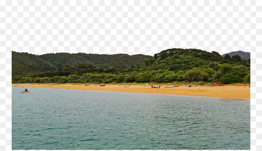 Abel Tasman National Park，Costa PNG