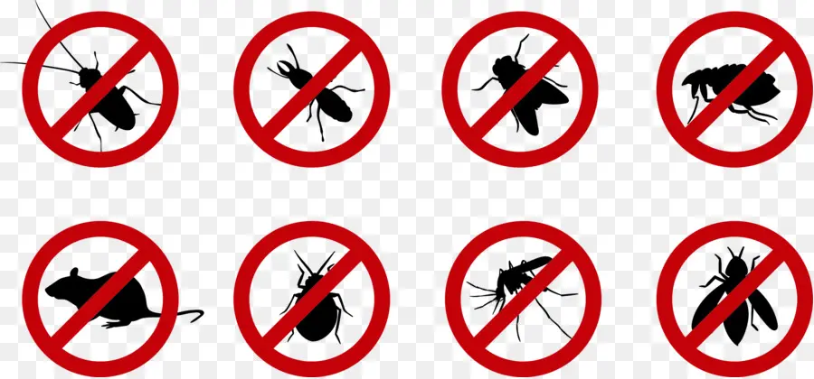 Cucaracha，Mosquito PNG