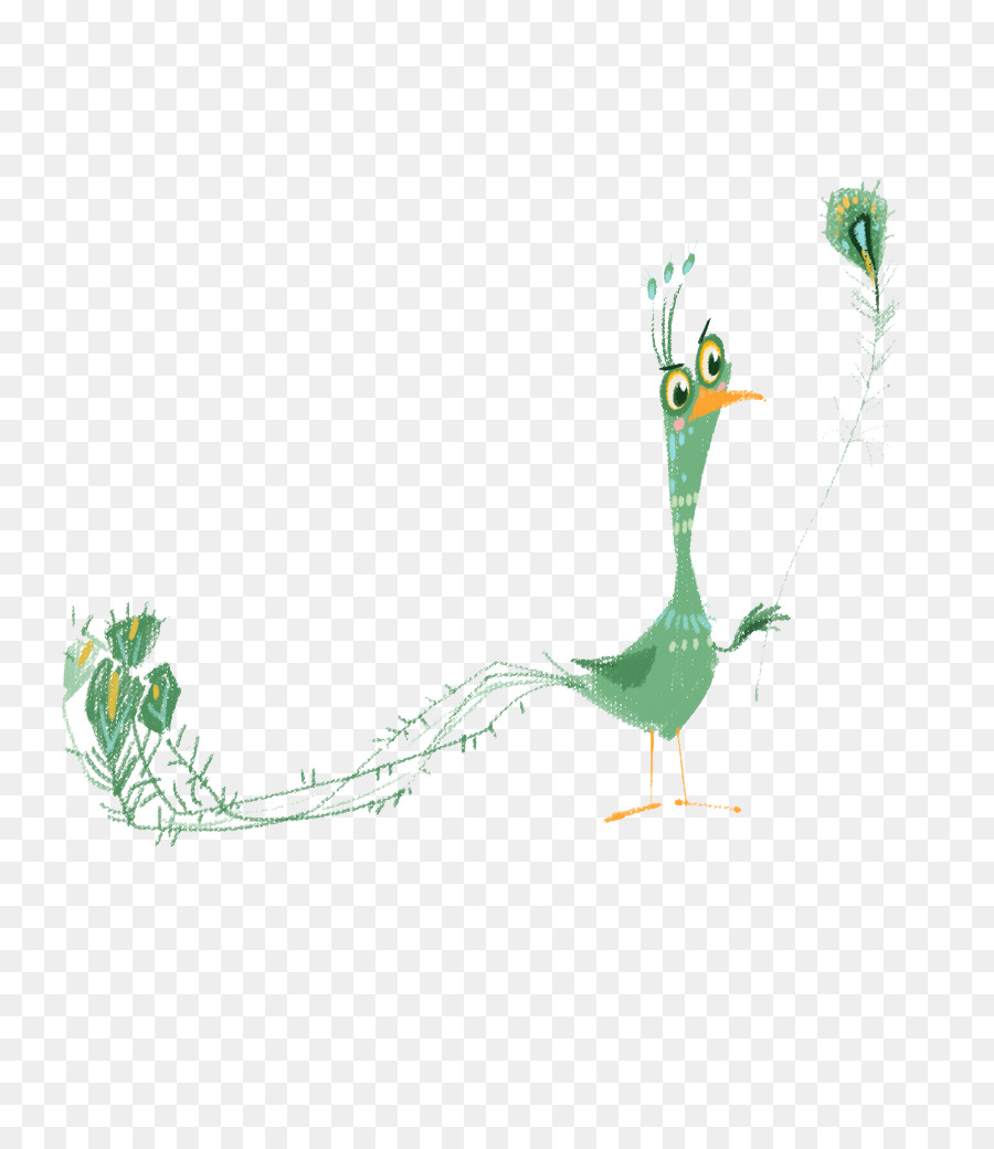 Pavo Real，Dibujos Animados PNG