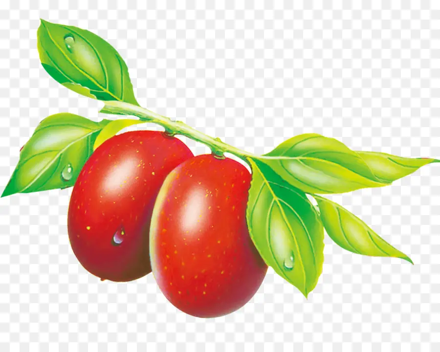 Frutos Rojos，Rama PNG