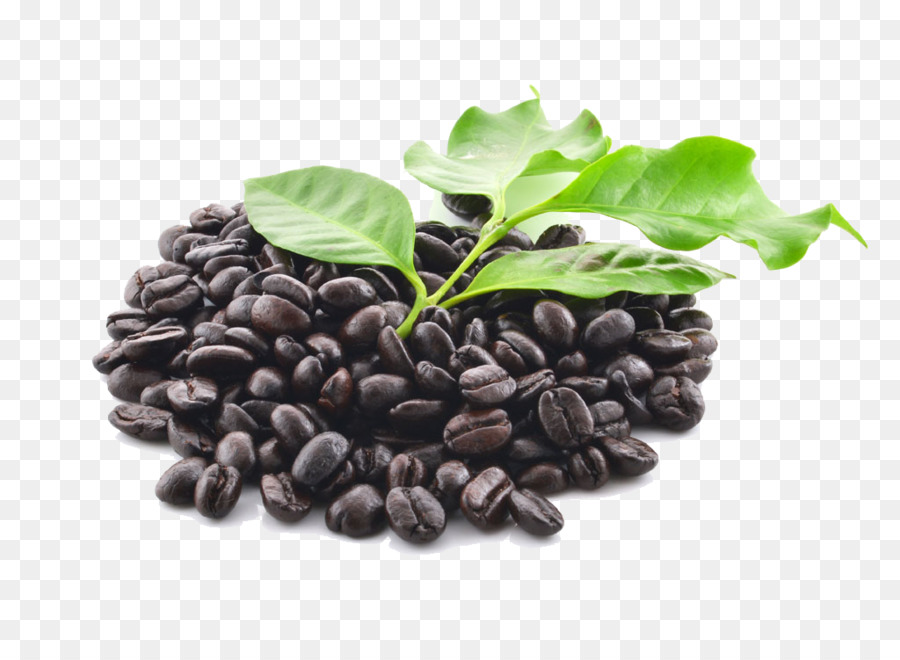 Granos De Café，Hojas PNG