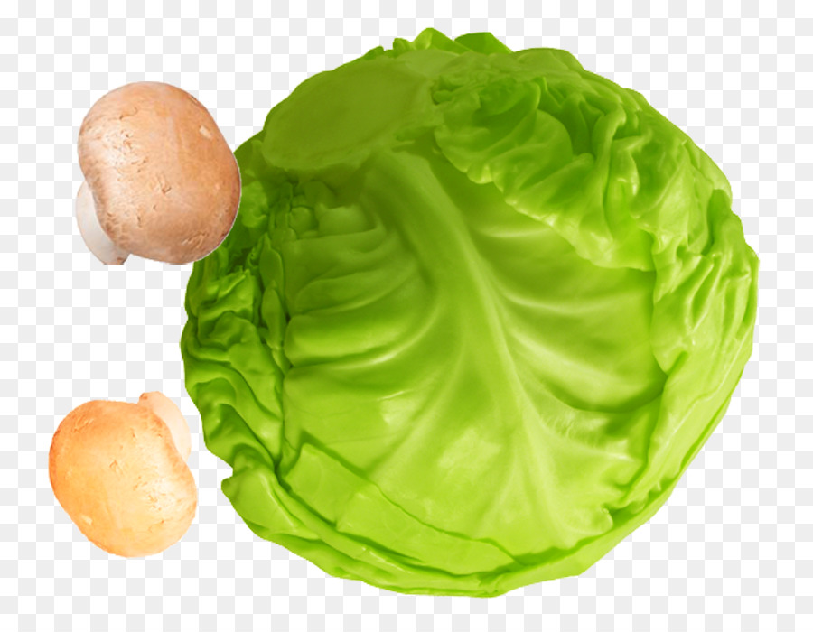 Lechuga，Descargar PNG