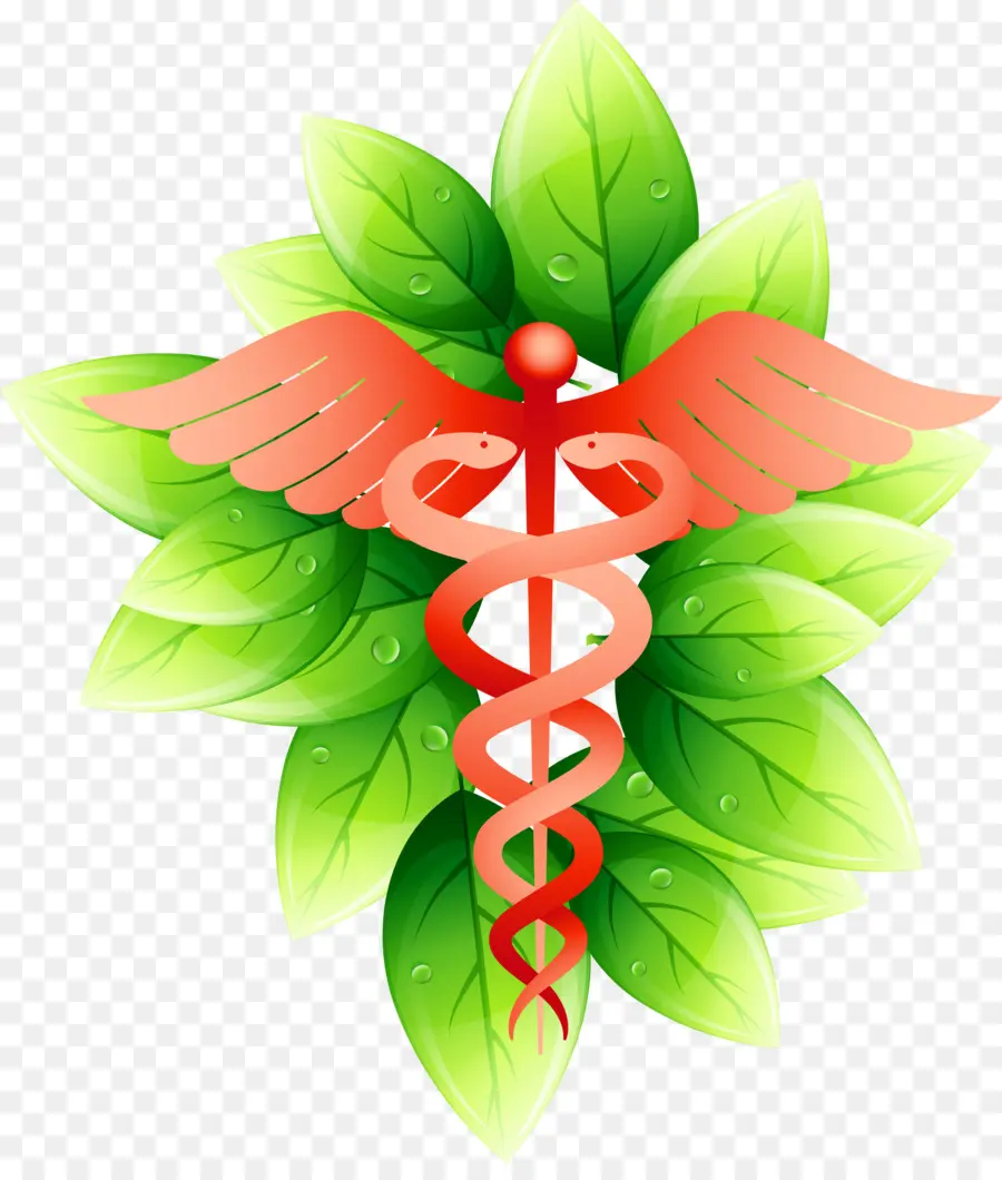 Símbolo Médico，Caduceo PNG