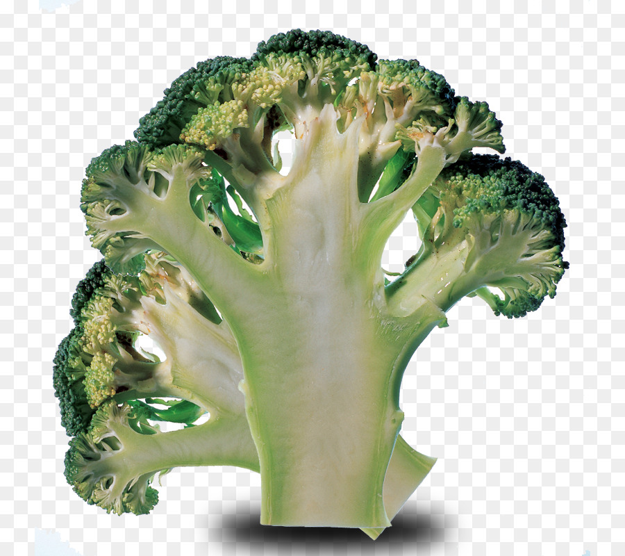 Brócoli，La Coliflor PNG