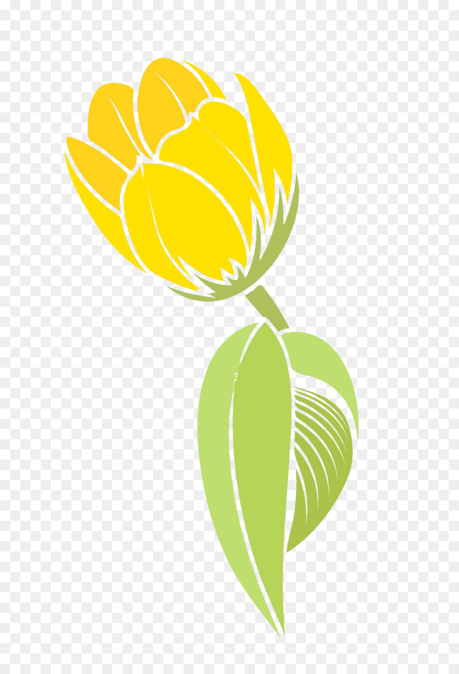 Tulip，Flor PNG