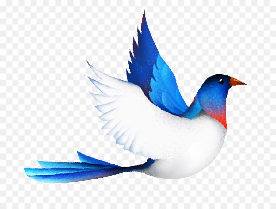 Pájaro，Vuelo PNG