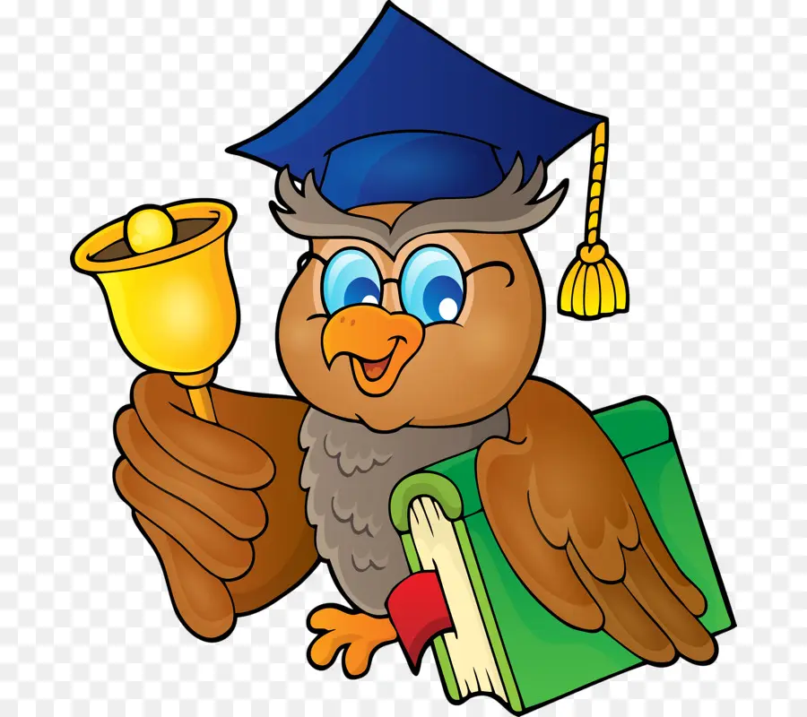 Búho De Graduación，Búho PNG