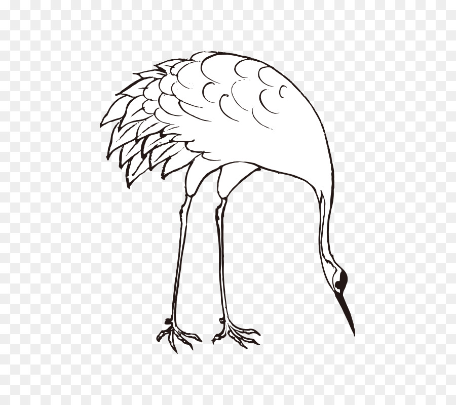 Cisne，Cisne De Tundra PNG