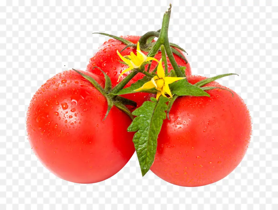 Tomate，Hoja PNG