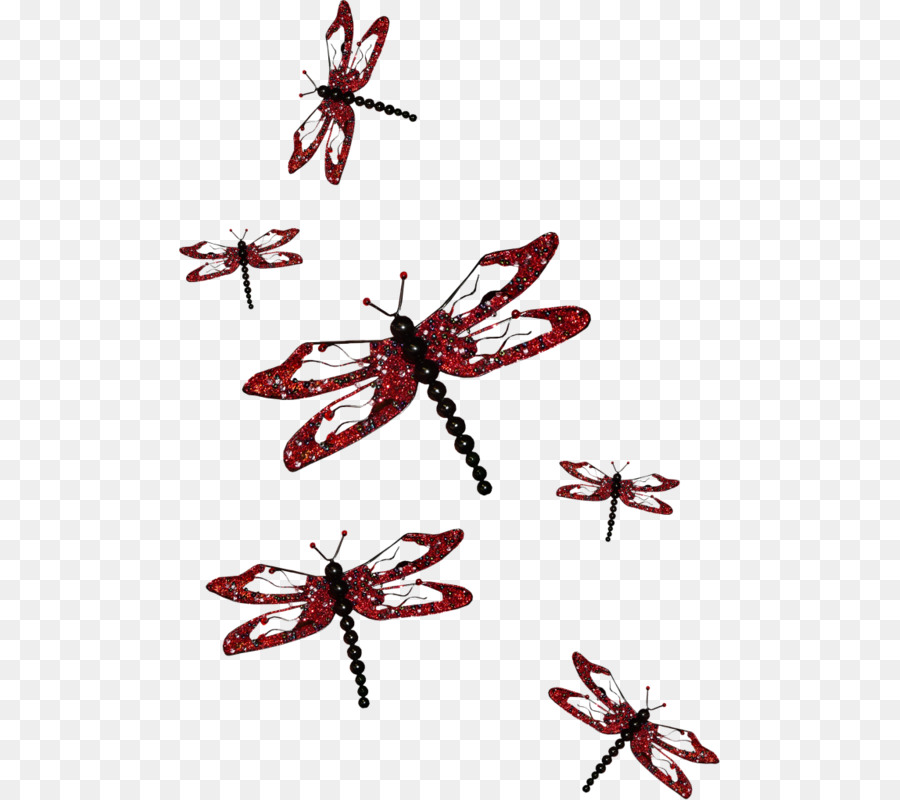 Los Insectos，Libélula PNG