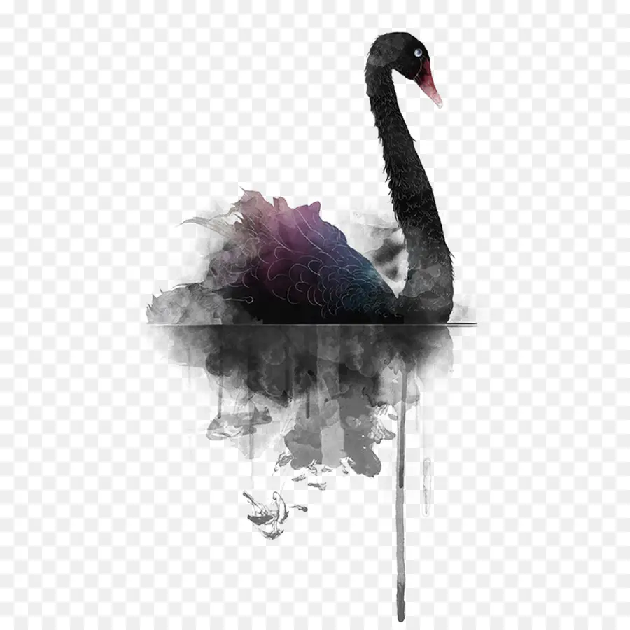 Cisne Negro，Pintura De Acuarela PNG