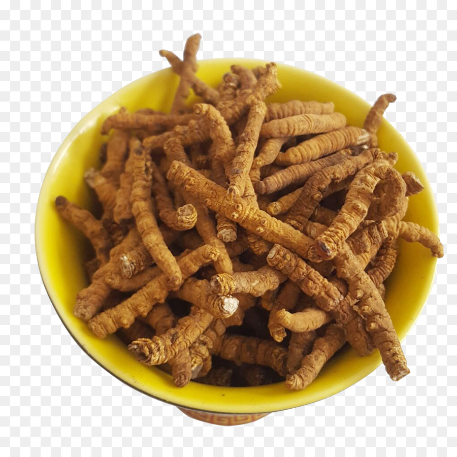 Nagqu，Cordyceps Militaris PNG