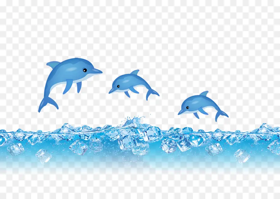 Delfines，Agua PNG