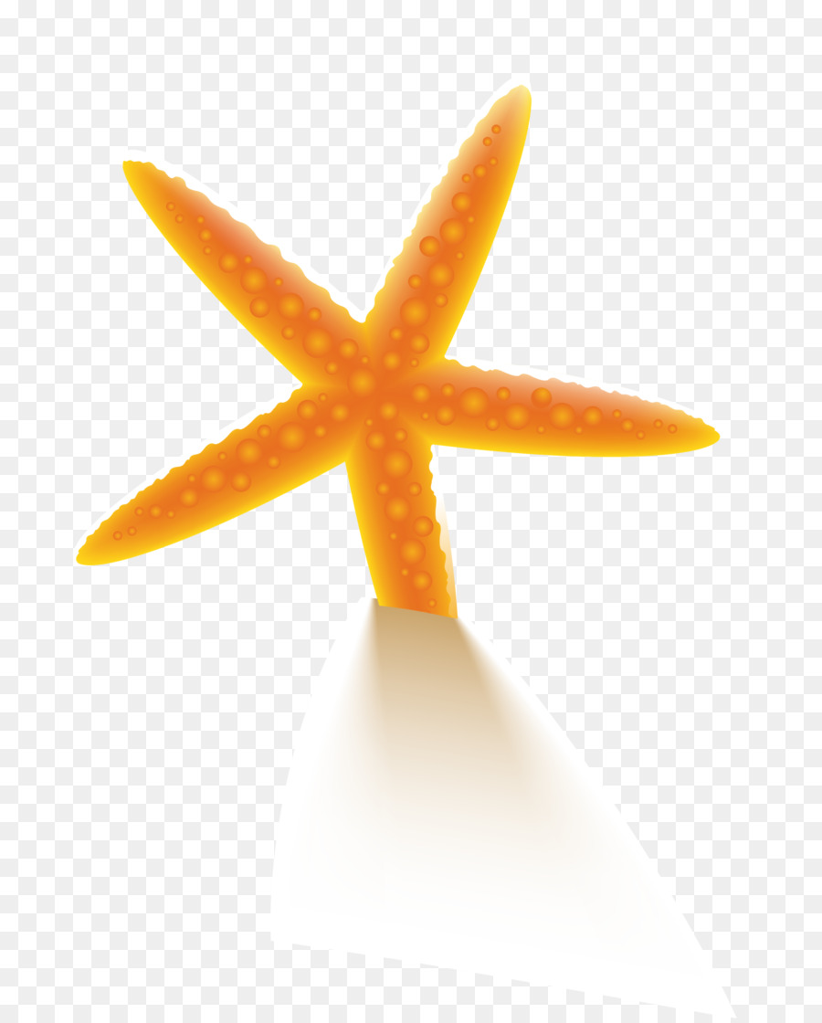 Estrella De Mar，Naranja PNG