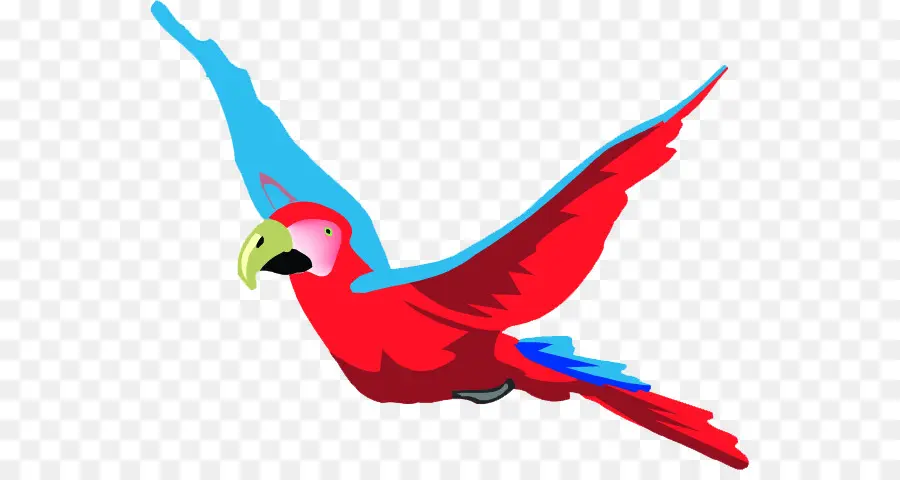 Parrot，Pájaro PNG