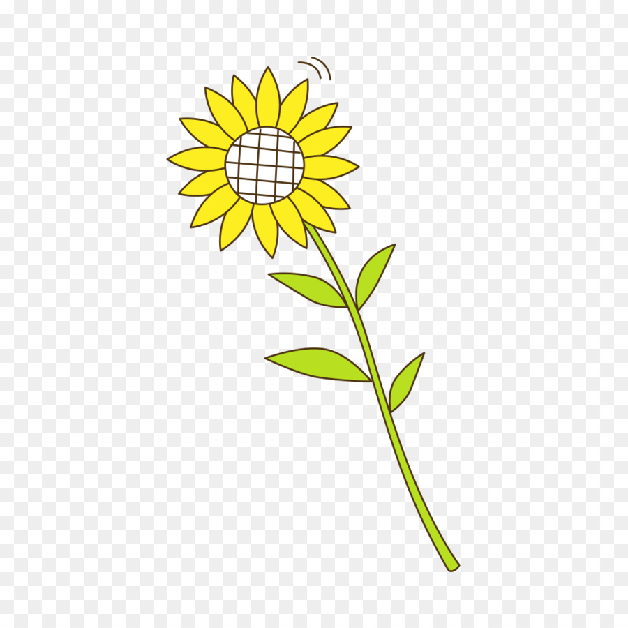 La Semilla De Girasol，Amarillo PNG