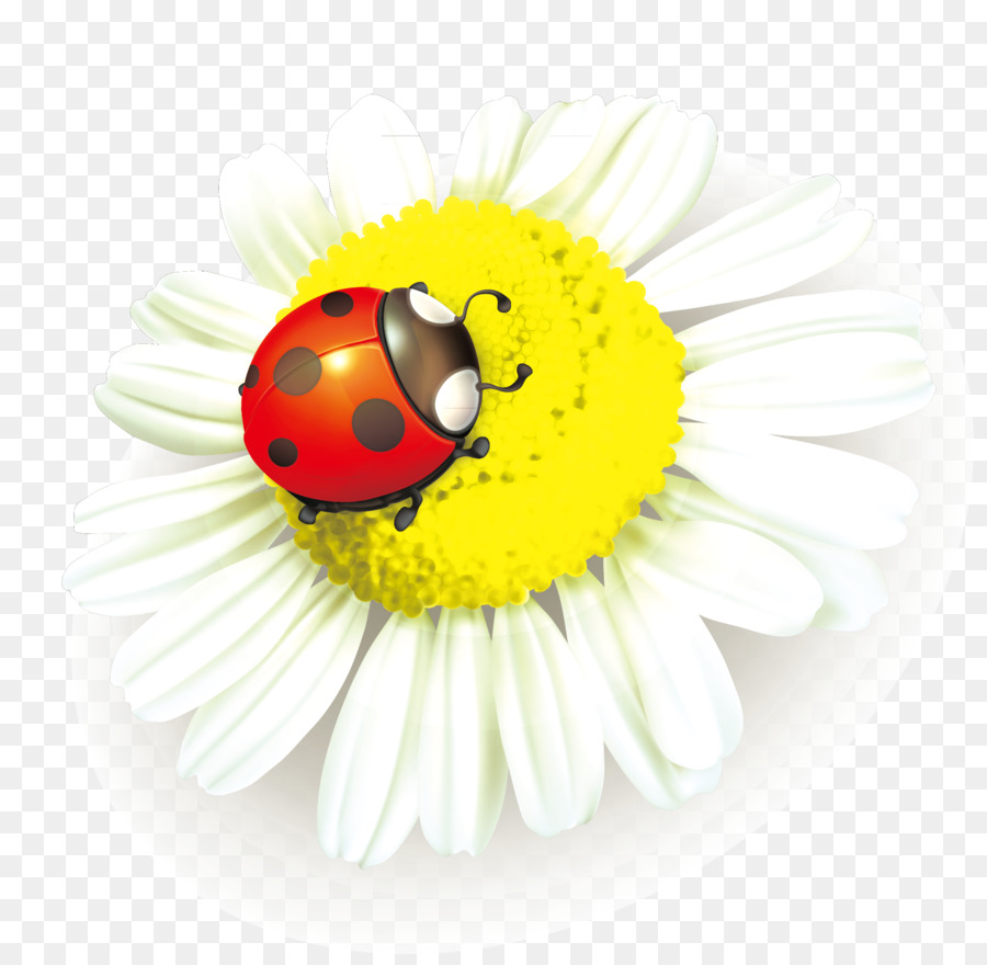 Mariquita En Flor，Margarita PNG