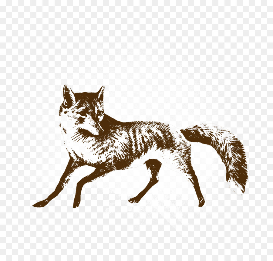 De Dibujos Animados De Fox，Fox PNG