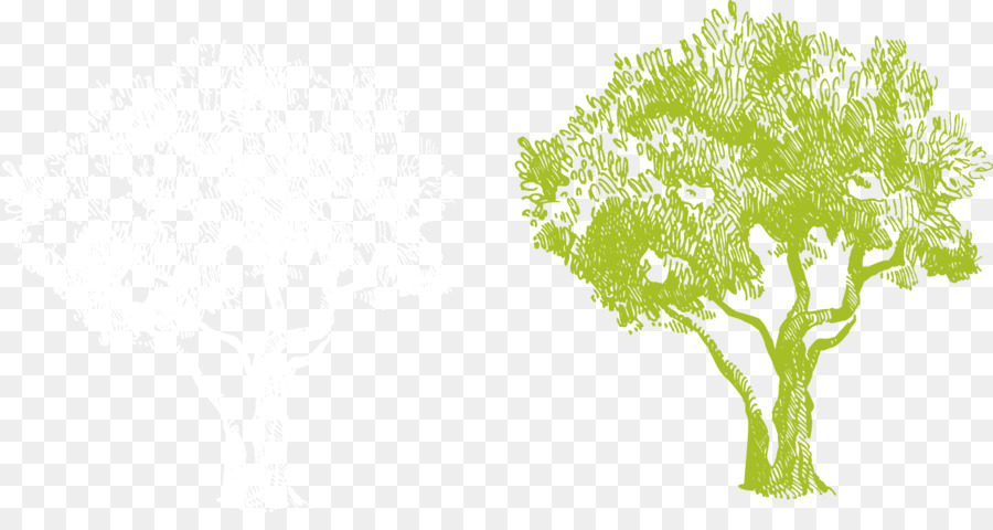 árbol Verde，Planta PNG