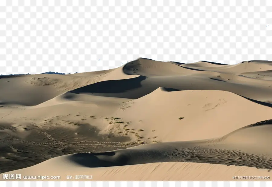 Sahara，Erg PNG