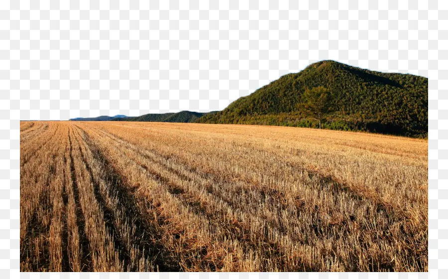 Campo，Sierras PNG