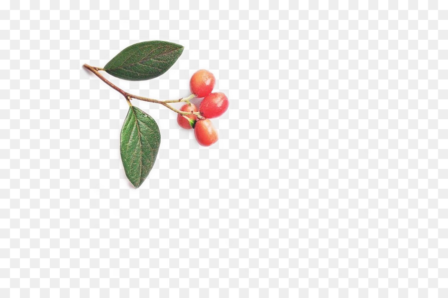 Cherry，Auglis PNG