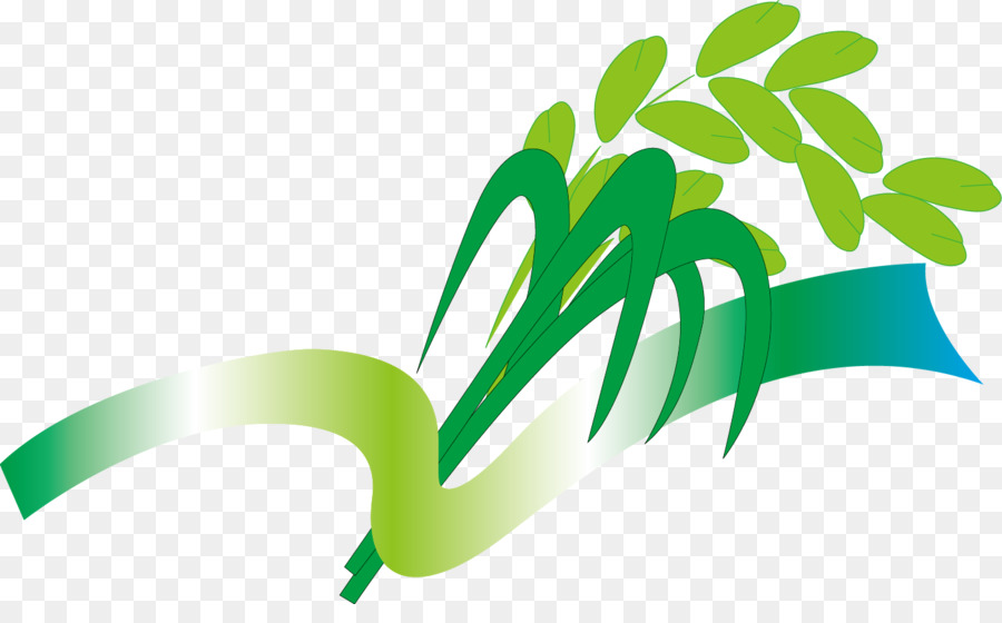 Planta Verde，Hojas PNG