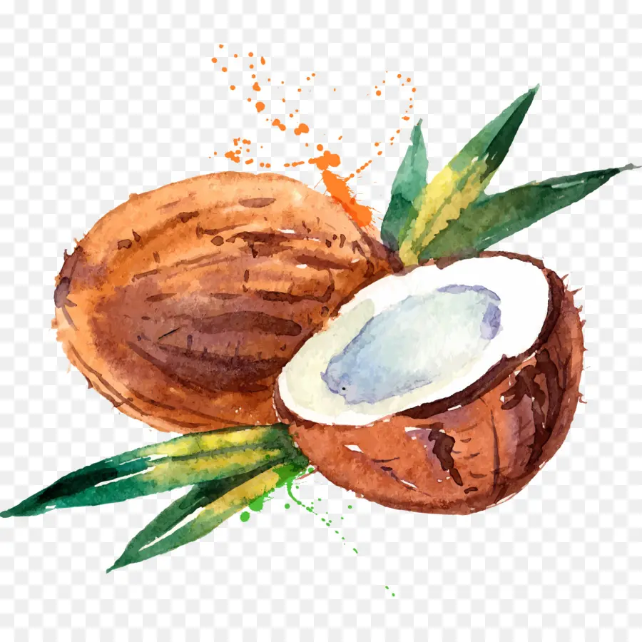 Agua De Coco，La Leche De Coco PNG