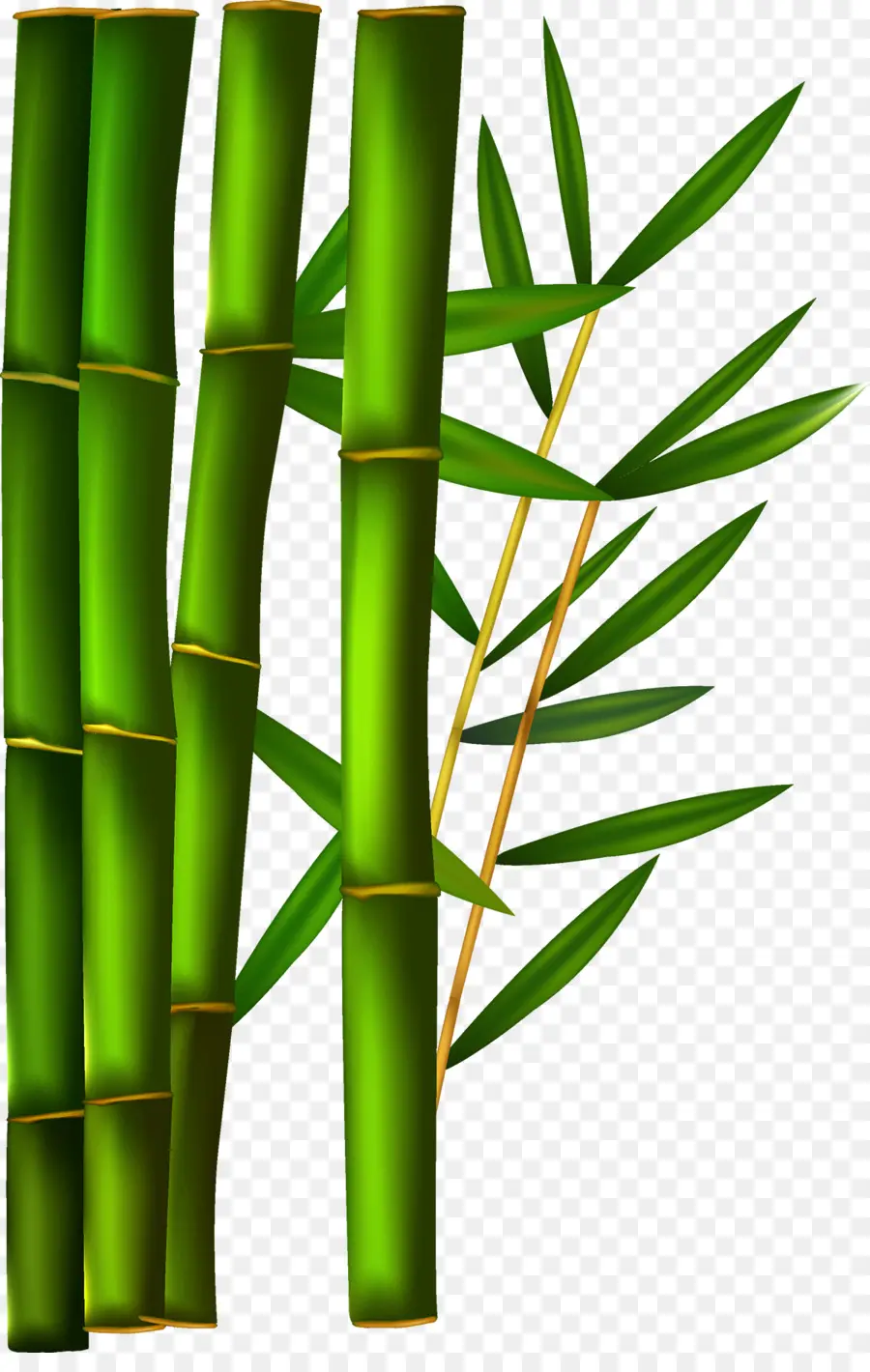 Papel，Bambú PNG