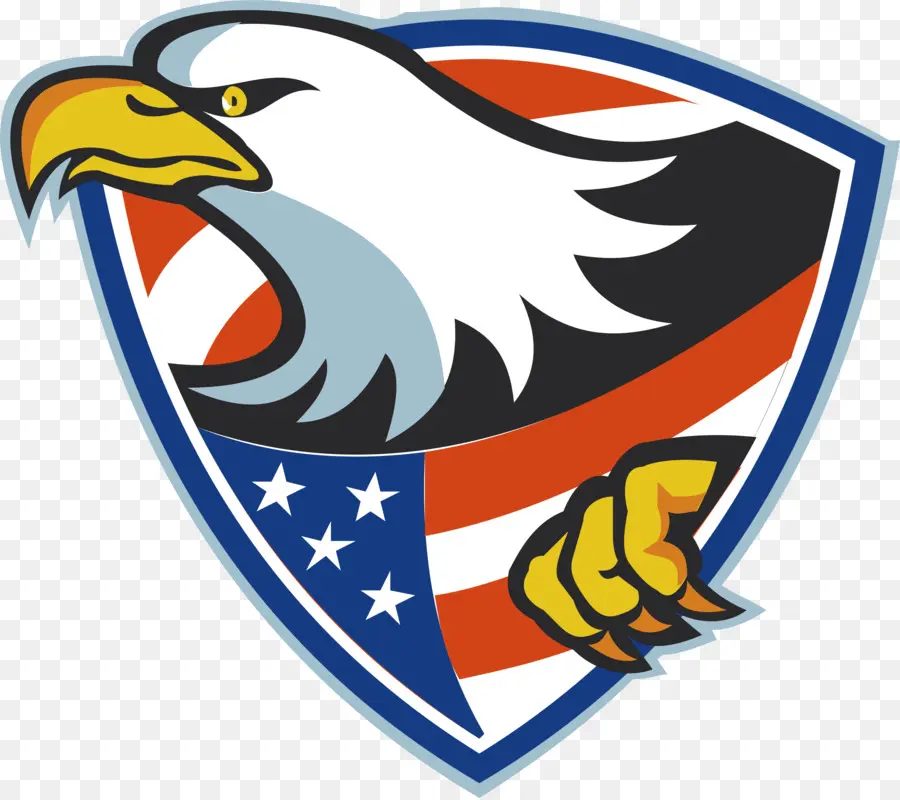 Estados Unidos，Águila Calva PNG