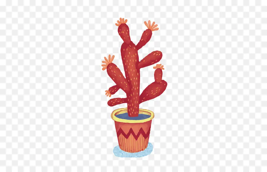 Cactaceae，Dibujo PNG