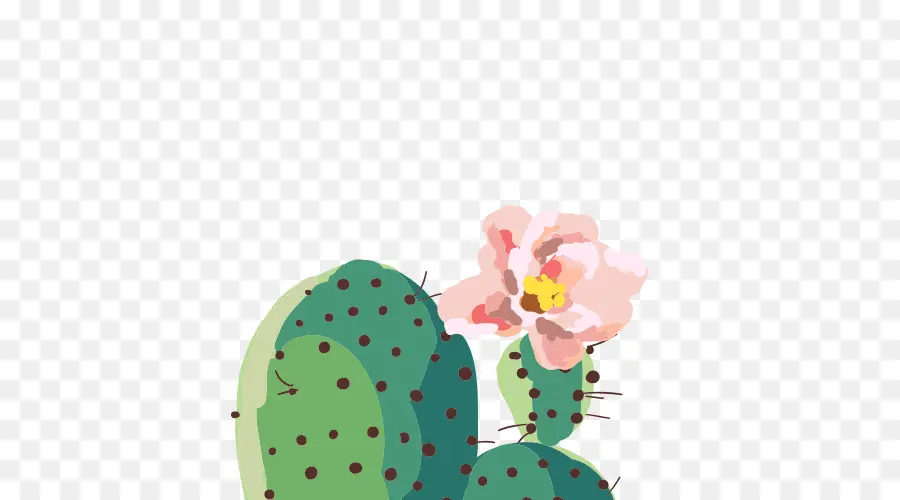 Verde，Cactaceae PNG