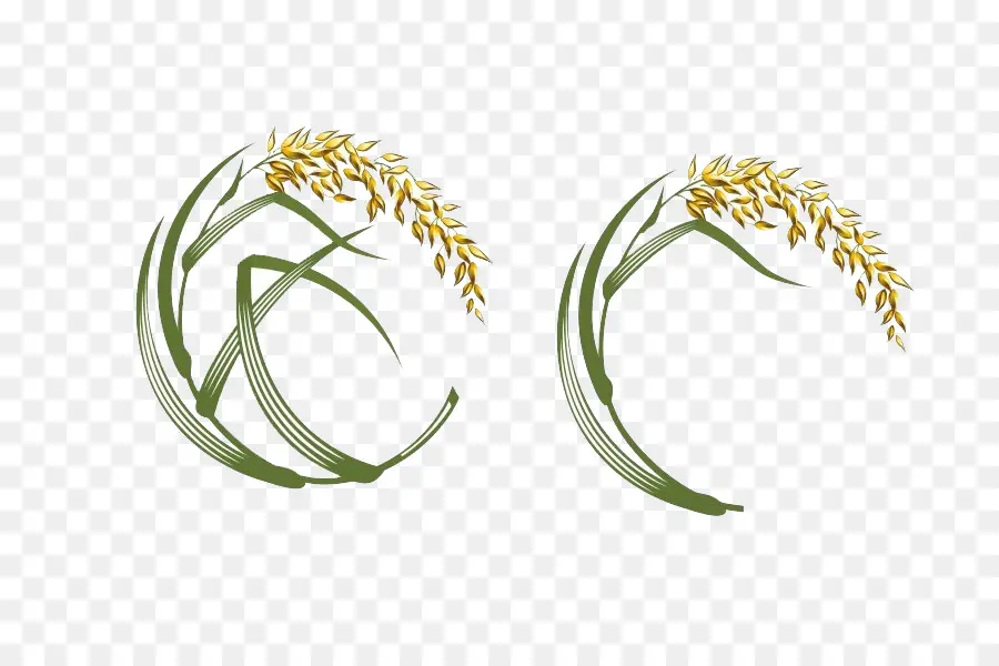 Diseño De Planta De Arroz，Arroz PNG