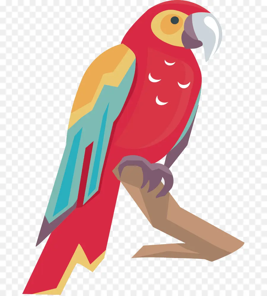 Pájaro，Parrot PNG